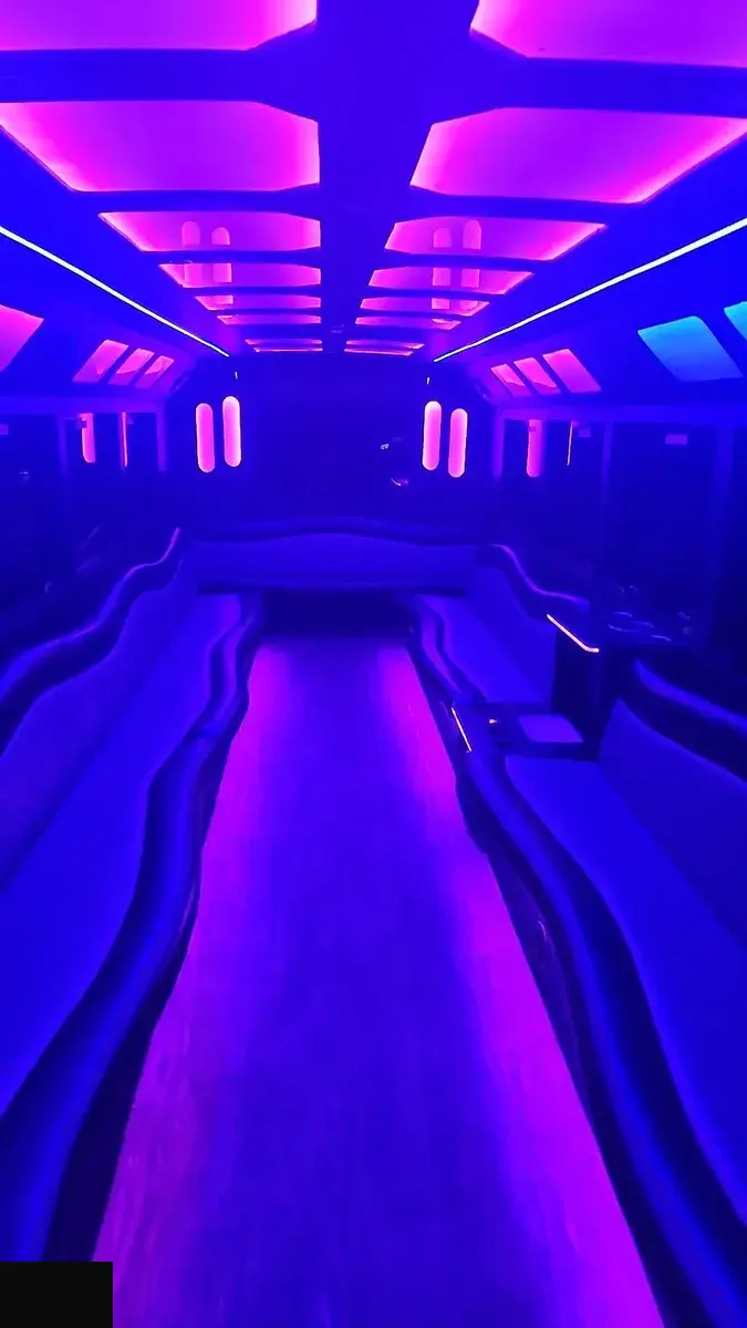 Limo bus leather interior with LED lighting